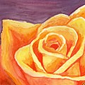 Electric Yellow Rose