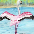 Flapping Flamingo