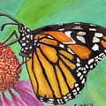 Monarch Butterfly on Flower